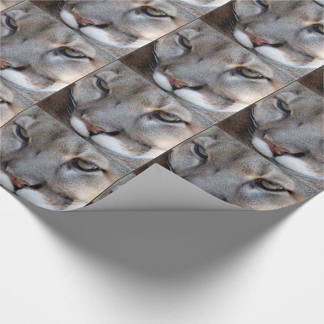 Presente Papel de envolvimento da pantera de Florida (4071) (Ponta)