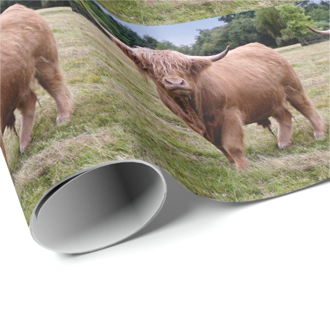 Presente Papel de envolvimento da vaca das montanhas (Ponta do rolo)