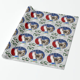 Presente Papel de envolvimento de Cavachon, Natal