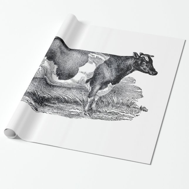 Presente Papel de envolvimento de duas vacas (Desenrolado)