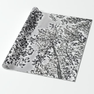 Presente Papel de envolvimento de Gumtree