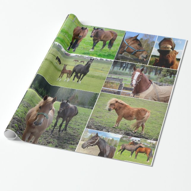 Presente Papel de envolvimento do amante do cavalo (Desenrolado)