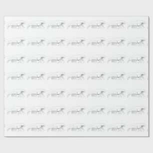 Presente Papel de envolvimento do camarão