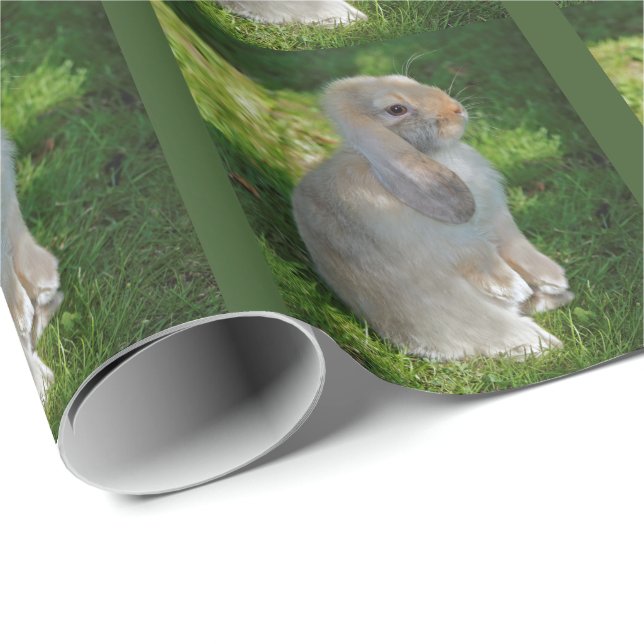 Presente Papel de envolvimento do coelho de Minilop do bebê (Ponta do rolo)