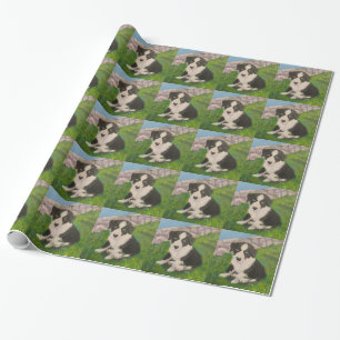 Presente Papel de envolvimento do filhote de cachorro