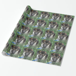 Presente Papel de envolvimento do filhote de cachorro do