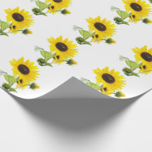 Papel de envolvimento do girassol