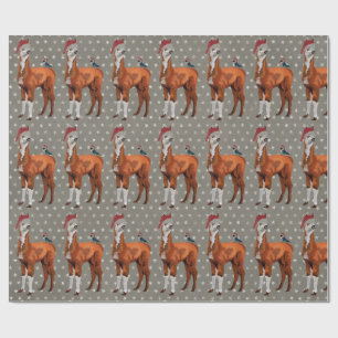 Presente Papel de envolvimento do LAMA & do PÁSSARO do