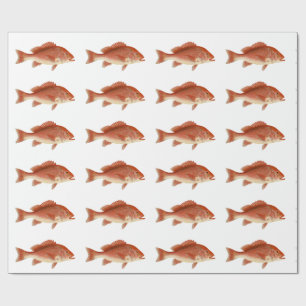 Presente Papel de envolvimento do luciano