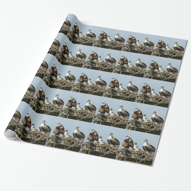 Presente Papel de envolvimento do pássaro da família do (Desenrolado)