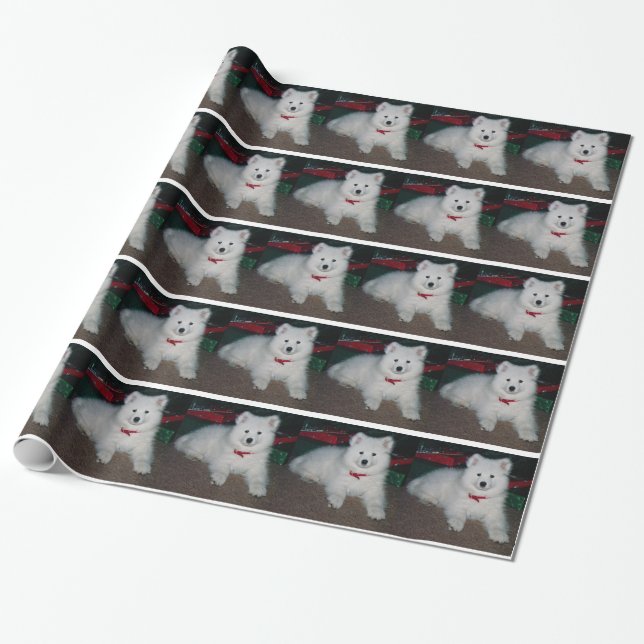Presente Papel de envolvimento do Samoyed (Desenrolado)