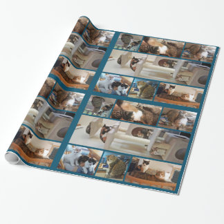 Presente Papel de envolvimento dos gatos