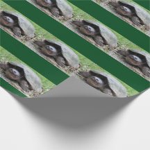 Papel de envolvimento feliz da tartaruga de