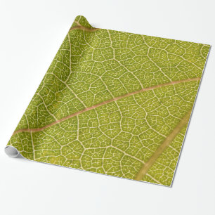 Presente Papel de envolvimento macro da folha