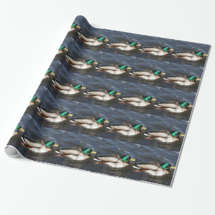 Presente Papel de envolvimento masculino do pato do pato