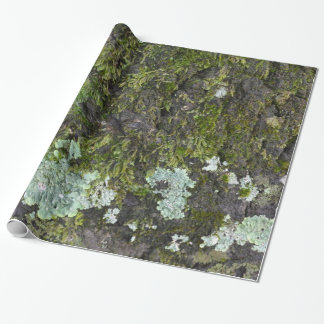 Presente Papel de envolvimento real de Camo da fotografia