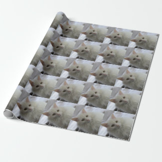 Presente papel de envolvimento turco branco do gato do