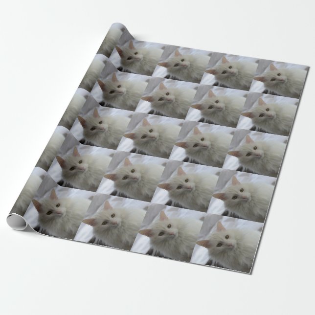 Presente papel de envolvimento turco branco do gato do (Desenrolado)
