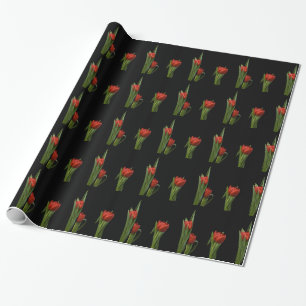 Presente Papel de envolvimento vermelho à moda vibrante da