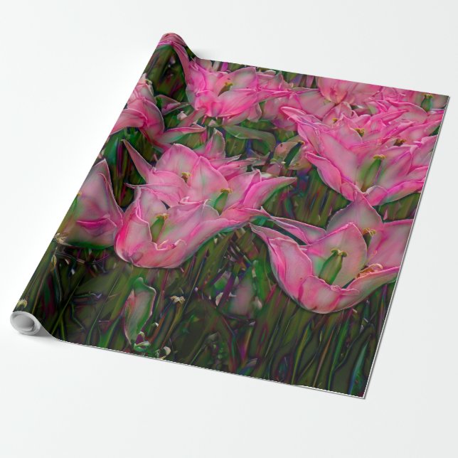 Presente Papel de moldagem Aberto Tulipas Rosa Quentes (Desenrolado)