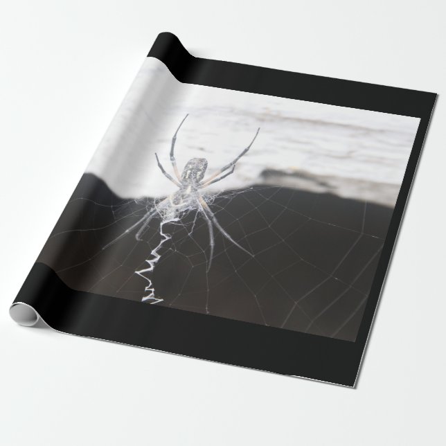 Presente Papel de moldagem de aranha (Desenrolado)