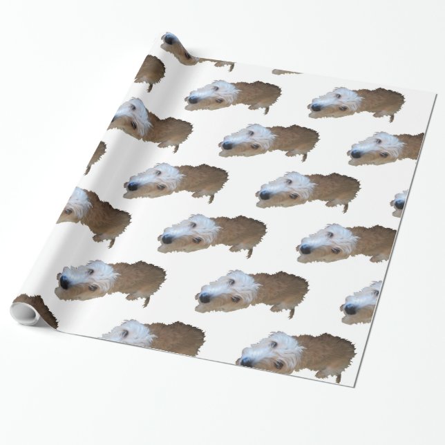 Presente Papel de moldagem de cães escruffy (Desenrolado)