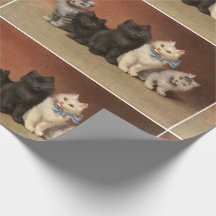 Papel de moldagem de cinco gatinhos giros