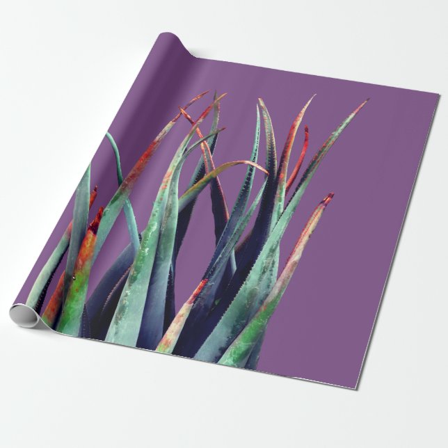 Presente Papel de moldagem de fotos da planta ALoe (Desenrolado)