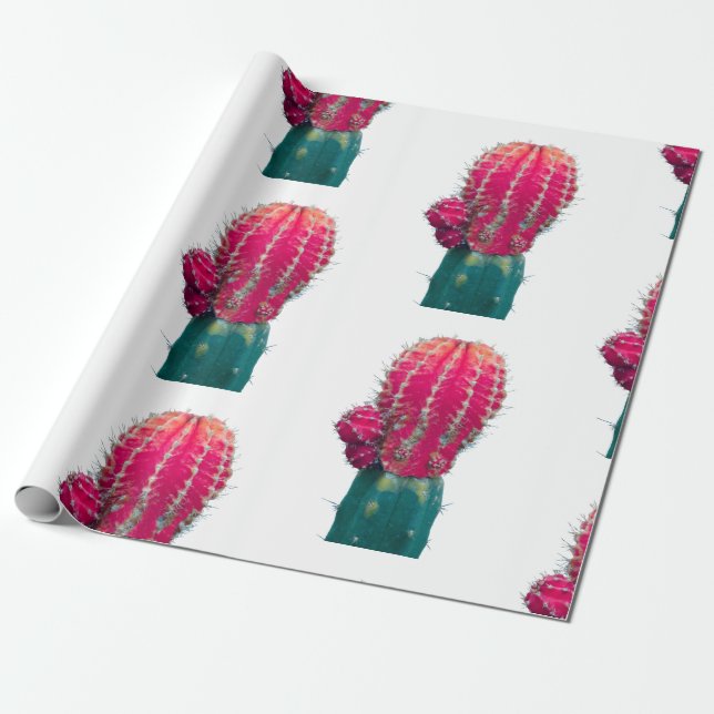 Presente Papel De Moldagem De Fotos De Cactus Rosa (Desenrolado)
