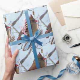 Presente Papel de moldagem de fotos no cardeal do norte