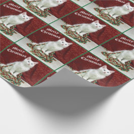 Presente Papel de moldagem de gato Maine Coon da Bianca