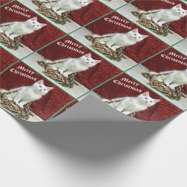 Presente Papel de moldagem de gato Maine Coon da Bianca (Ponta)