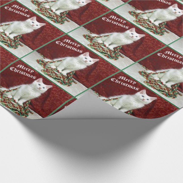 Presente Papel de moldagem de gato Maine Coon da Bianca (Ponta)