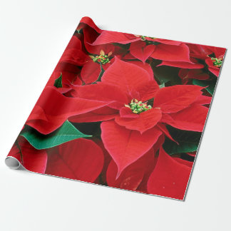 Presente Papel de Moldagem de Poinsettias de Natal