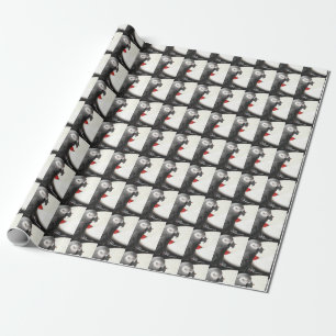 Presente Papel de moldagem do Alex Foundation