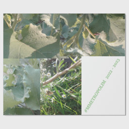 Presente Papel de moldagem/MMETROPOLIMdesign