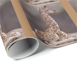 Presente Papel de ondulação da Baby Giraffe