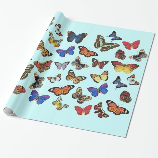 Presente Papel de ondulação das borboletas (Desenrolado)
