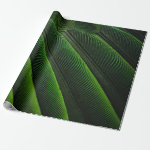 Presente Papel de parede 3D verde