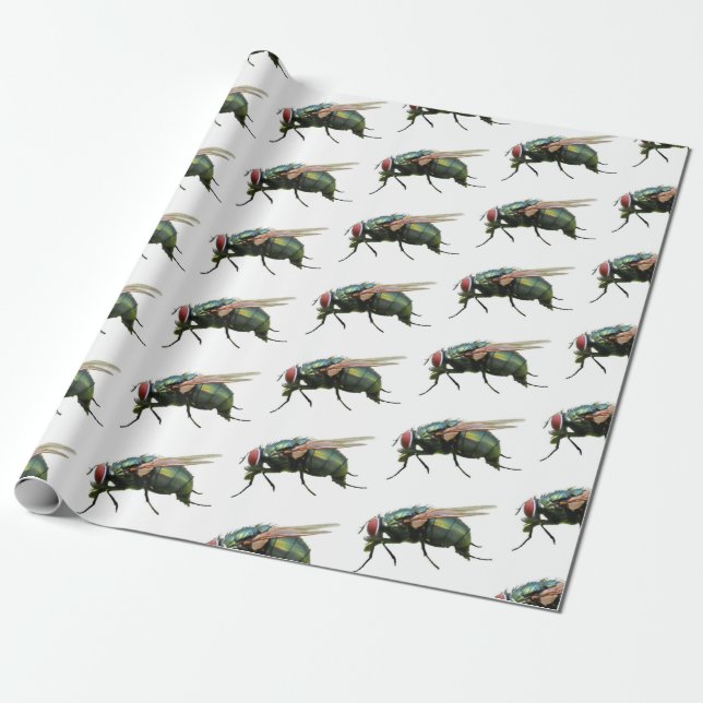 Presente Papel de sobrevoo (Desenrolado)