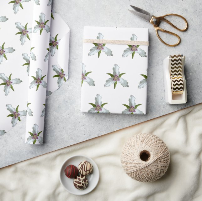 Presente Papel para enrolar Primavera de flor selvagem pint (Artesanato)