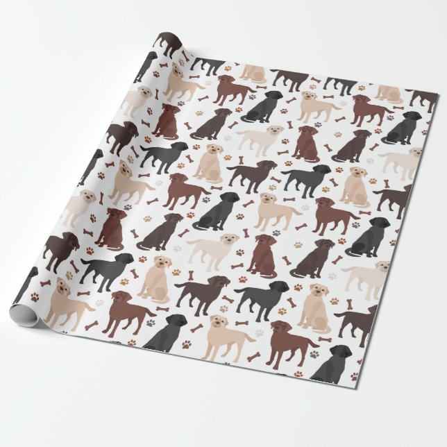 Presente Papel para molas e para moldagem de ossos (Desenrolado)