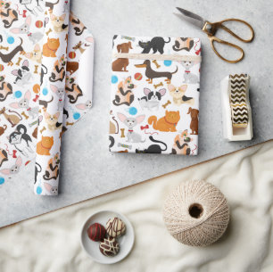 Presente Papel para moldagem de gatos e cães