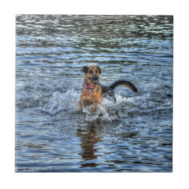 Presente para amantes de cães German shepherd alsa