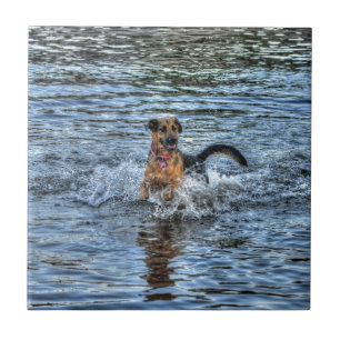 Presente para amantes de cães German shepherd alsa