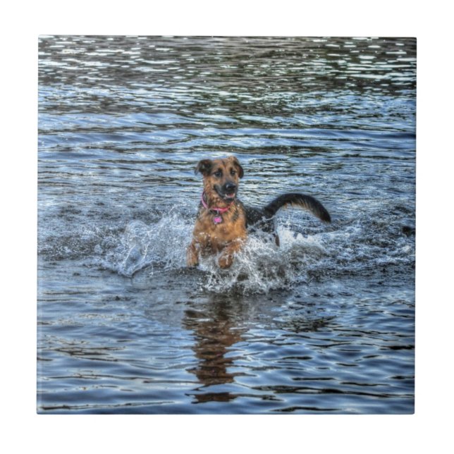 Presente para amantes de cães German shepherd alsa (Frente)