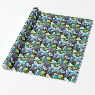 Presente Parakeets do Budgerigar no papel de envolvimento