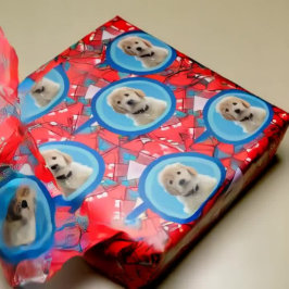Presente Pentes de Cachorro Vermelho e Azul Papel de ondula