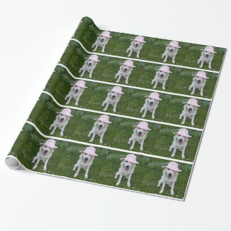 Presente persiga o papel de envolvimento, seu animal de