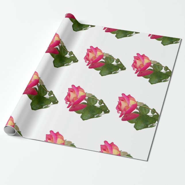 Presente Rosas em papel de embalagem (Desenrolado)